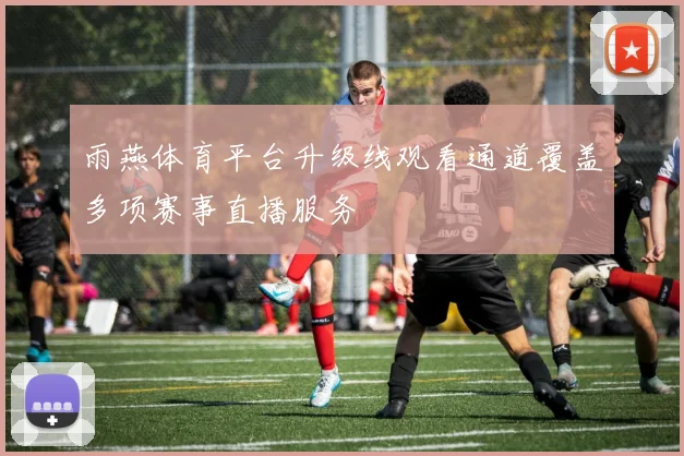 雨燕体育平台升级线观看通道覆盖多项赛事直播服务