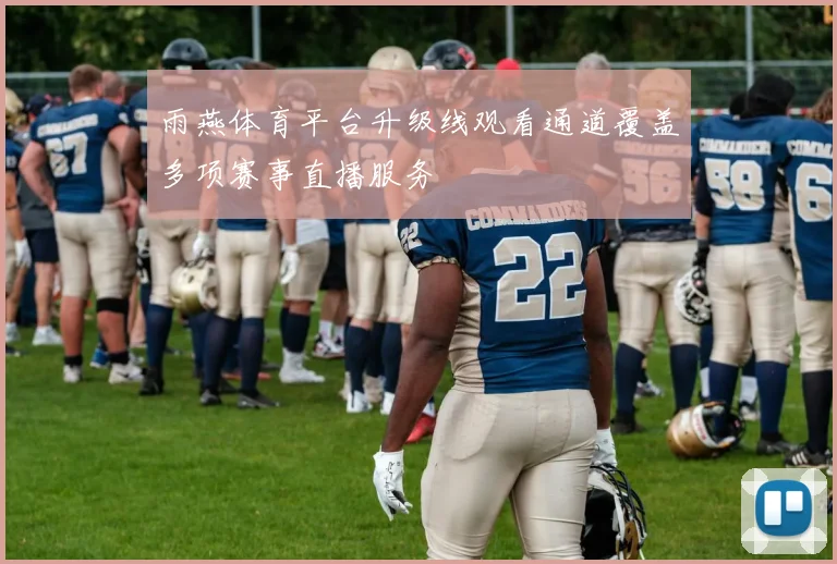 雨燕体育平台升级线观看通道覆盖多项赛事直播服务
