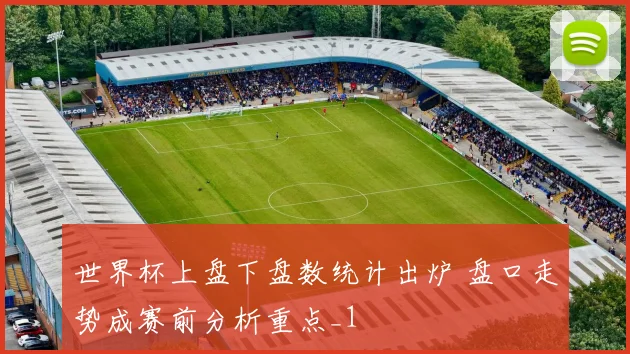 世界杯上盘下盘数统计出炉 盘口走势成赛前分析重点_1
